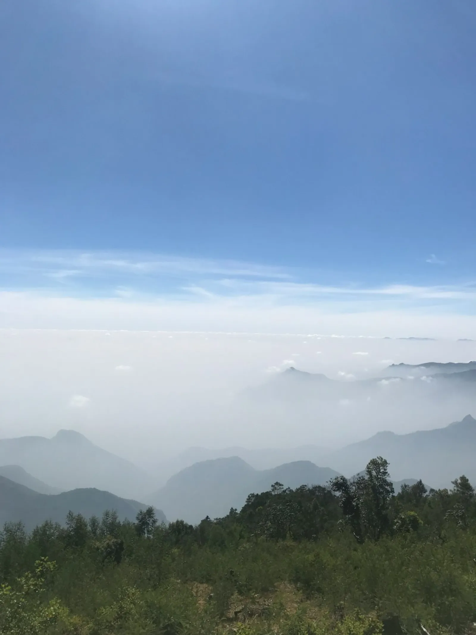 Pegunungan teh Fujian
